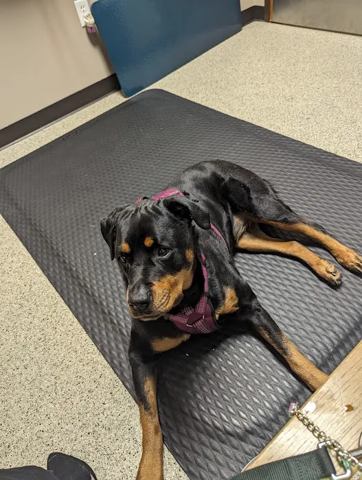 Barker Animal Hospital 9