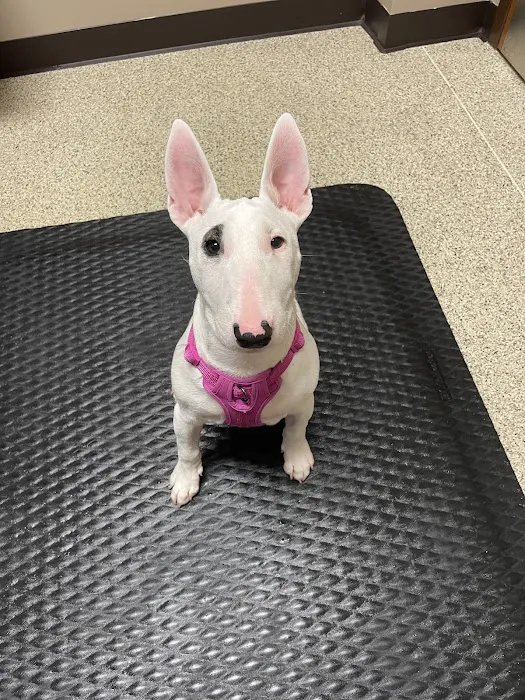 Barker Animal Hospital 4
