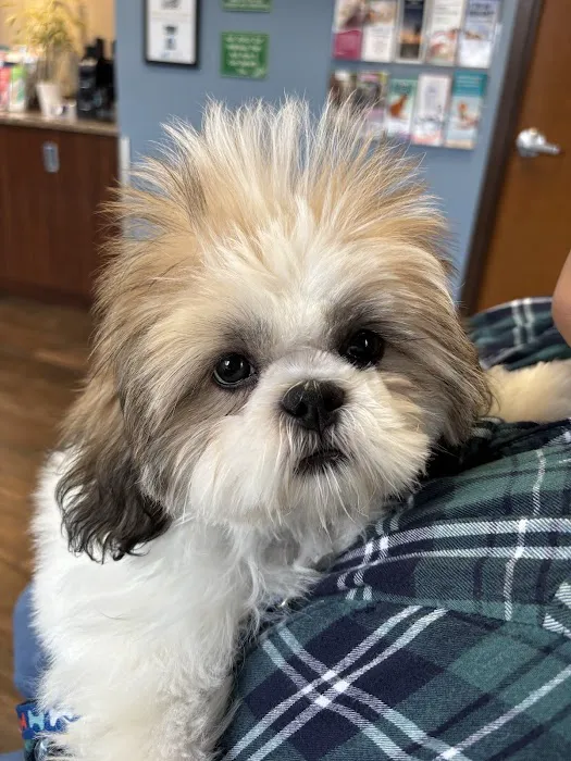 Barker Animal Hospital 6
