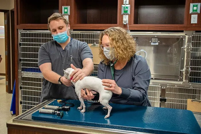 Barker Animal Hospital 10
