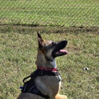 Barker Animal Hospital ico