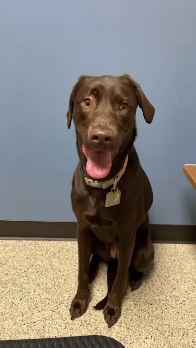 Barker Animal Hospital 7