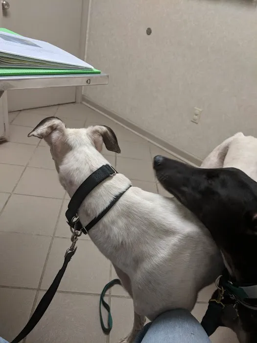 Princess Anne Veterinary Hospital 9
