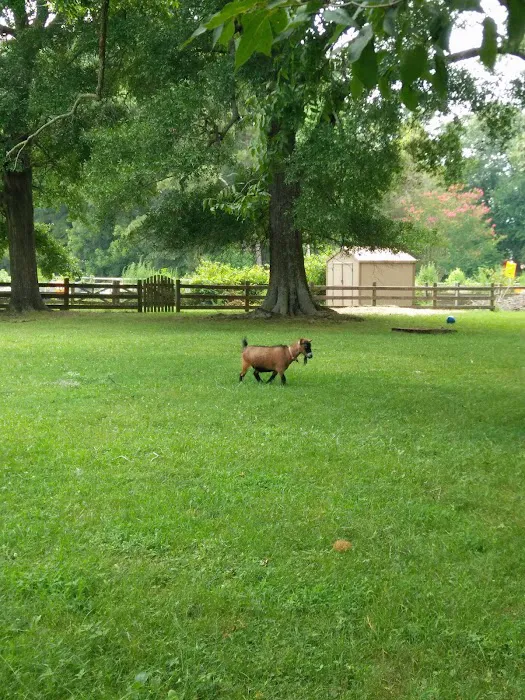 Princess Anne Veterinary Hospital 4