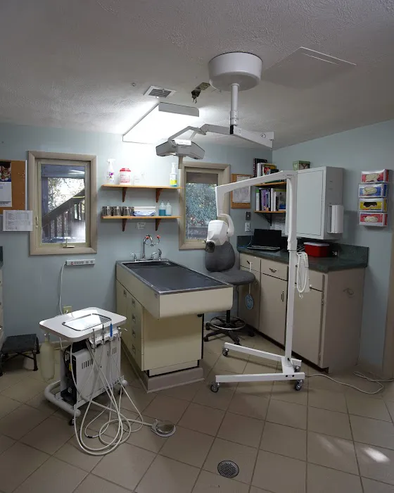 Princess Anne Veterinary Hospital 1