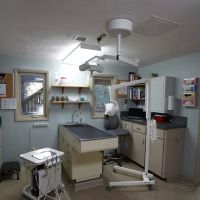 Princess Anne Veterinary Hospital ico