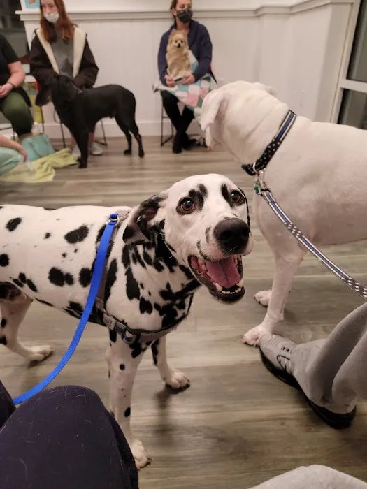 Bay Beach Veterinary Emergency Hospital 9
