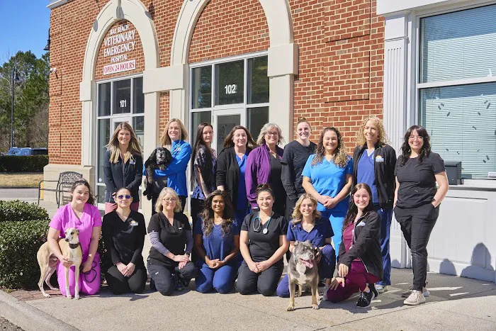 Bay Beach Veterinary Emergency Hospital 4