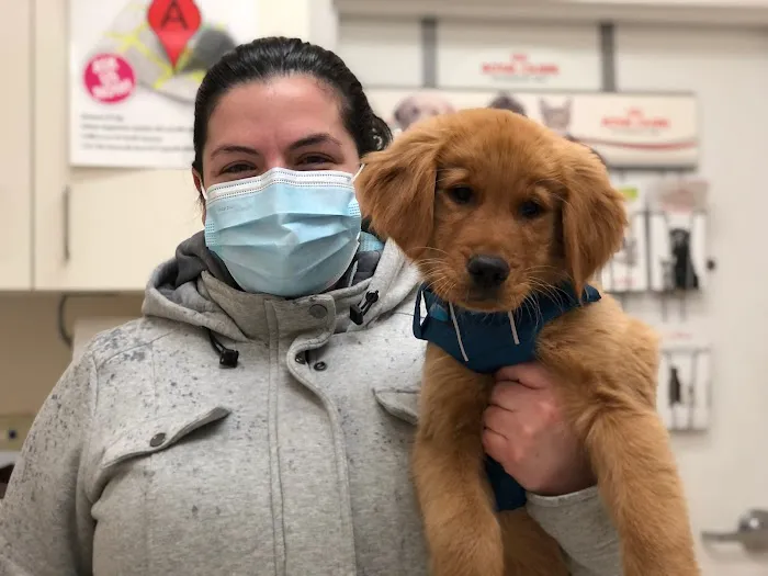 Courthouse Veterinary Clinic 8