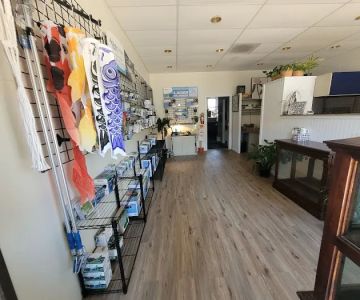 Koi and More Pond Shop