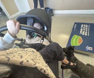 Birdneck Animal Hospital