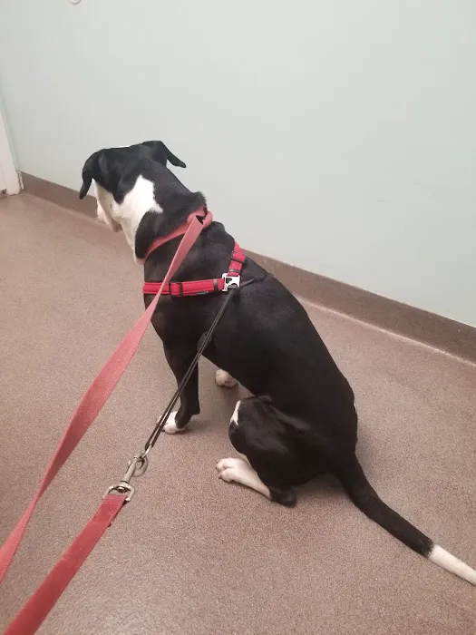 Owl Creek Veterinary Hospital 6