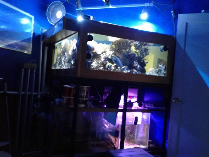 AquaCave.com 2