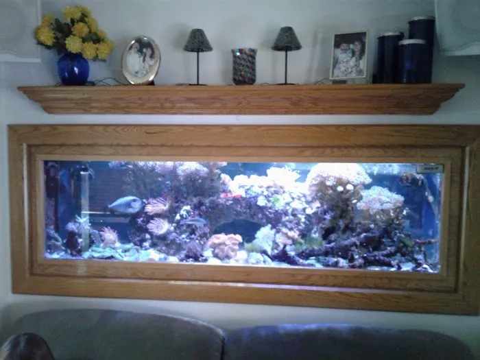 AquaCave.com 1