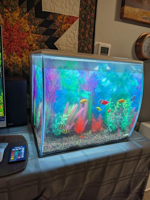 AquaCave.com 6