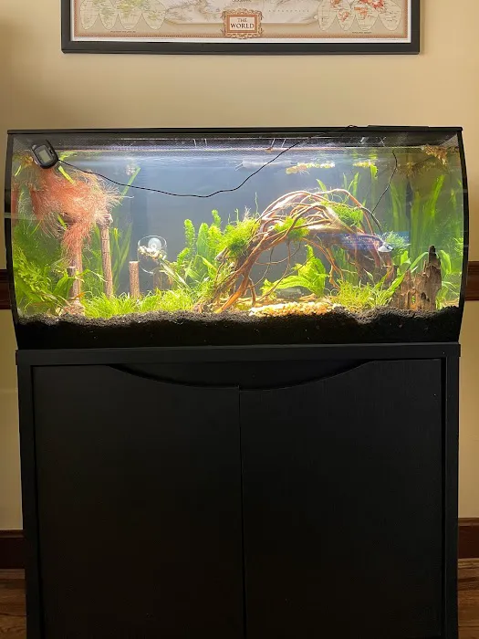 AquaCave.com 10