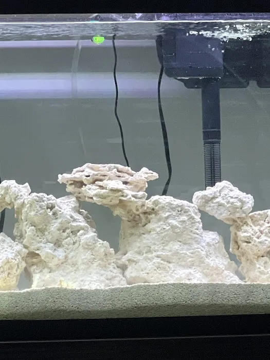 AquaCave.com 7