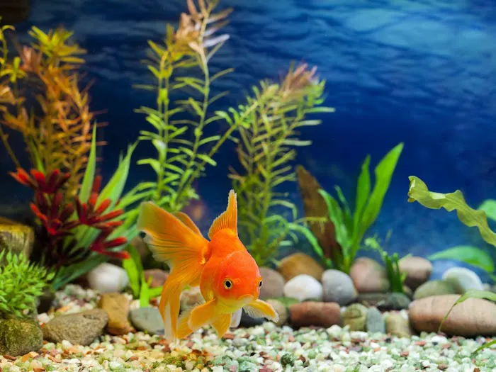 AquaCave.com 5