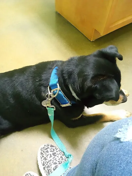 Bluebonnet Animal Clinic Inc 12