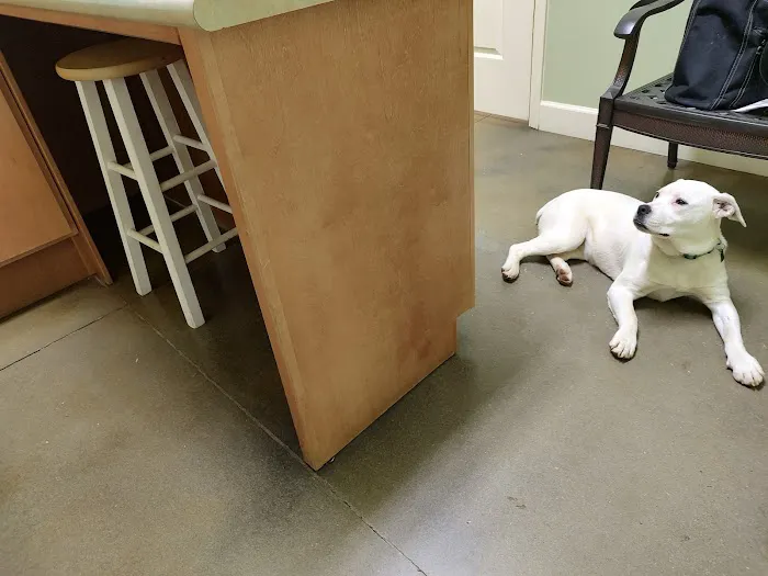 Bluebonnet Animal Clinic Inc 12