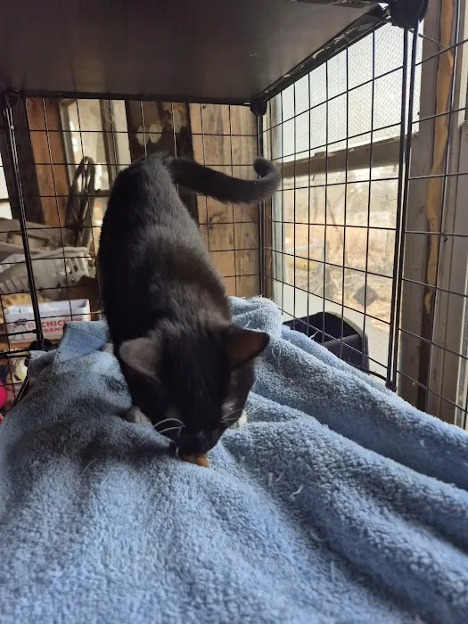 Bluebonnet Animal Clinic Inc 12