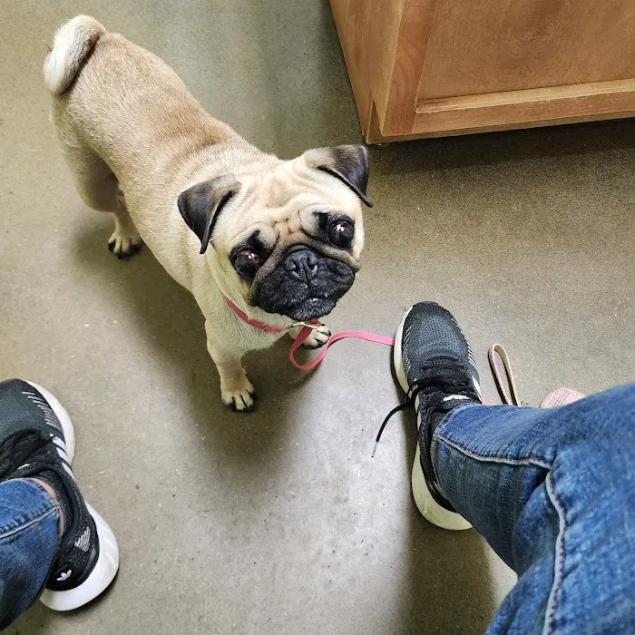 Bluebonnet Animal Clinic Inc 12