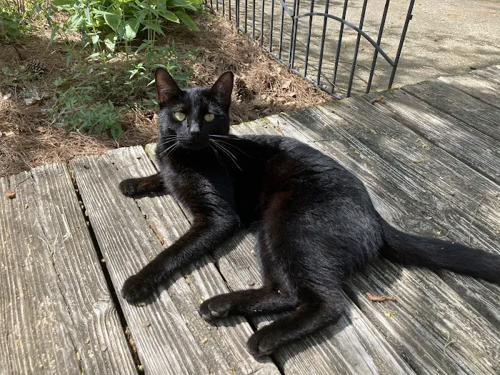Sylacauga Veterinary Hospital 12