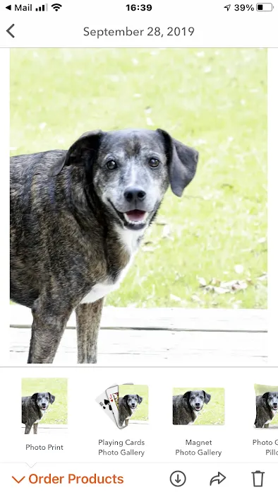 Sylacauga Veterinary Hospital 12