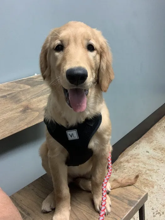 Sylacauga Veterinary Hospital 12