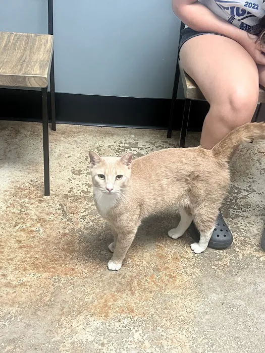 Sylacauga Veterinary Hospital 12