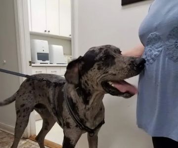 Baxley Animal Hospital