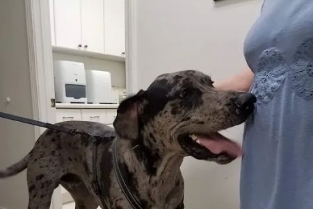 Baxley Animal Hospital
