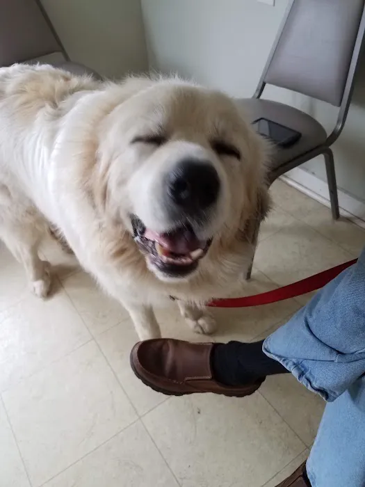 Baxley Animal Hospital 12