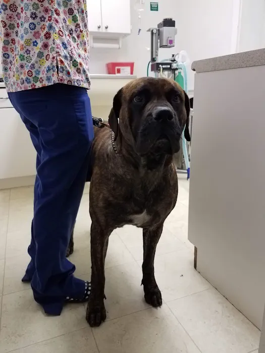 Baxley Animal Hospital 12