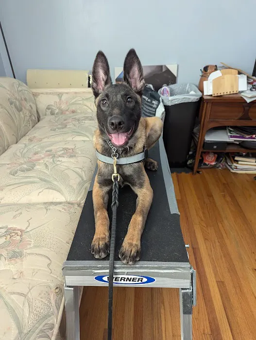 Crestline Pet Care PC 12