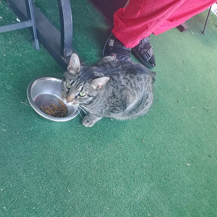 Bessemer Pet Clinic 12
