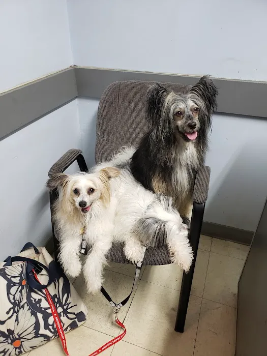 Bessemer Pet Clinic 12