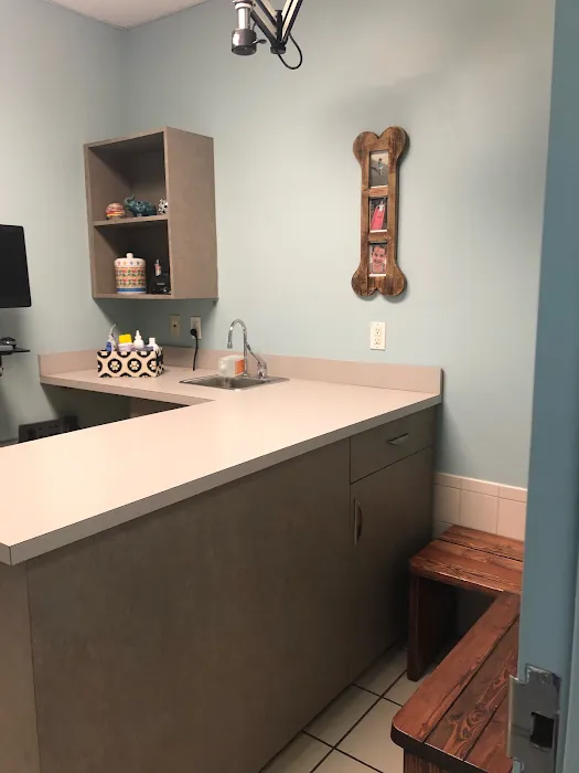 VCA Becker Animal Hospital 12