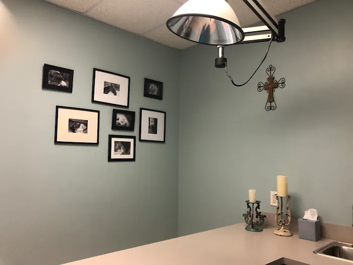 VCA Becker Animal Hospital 12