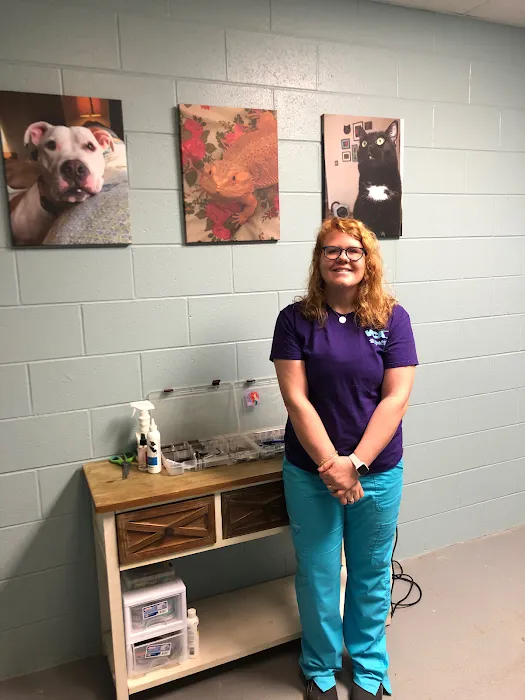 VCA Becker Animal Hospital 12