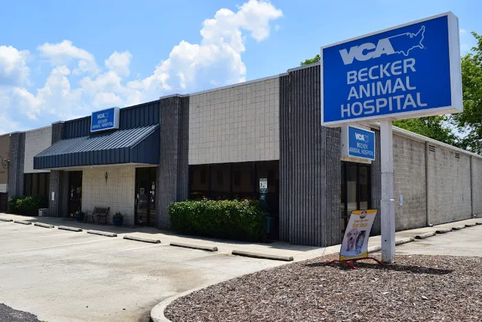 VCA Becker Animal Hospital 12