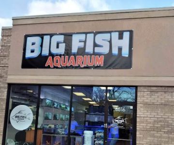 Big Fish Aquarium
