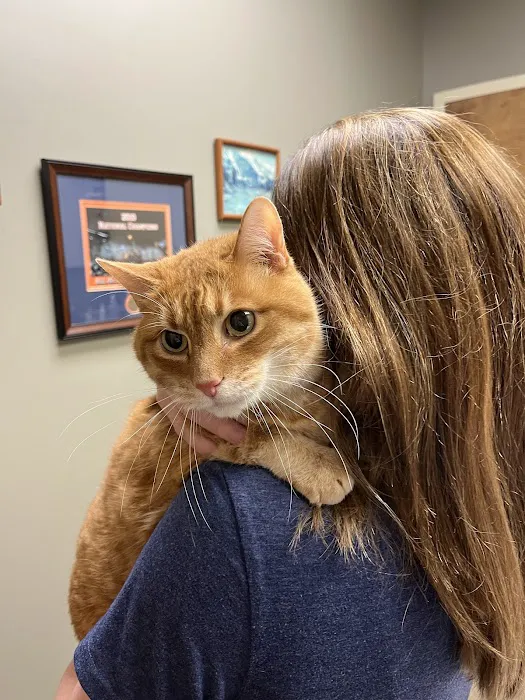 Vulcan Park Animal Care: Raymond George DVM 12