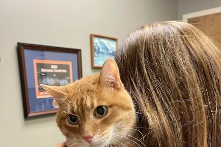 Vulcan Park Animal Care: Raymond George DVM