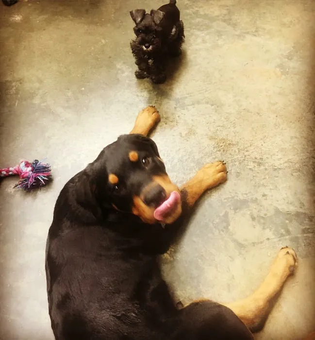 Vulcan Park Animal Care 12