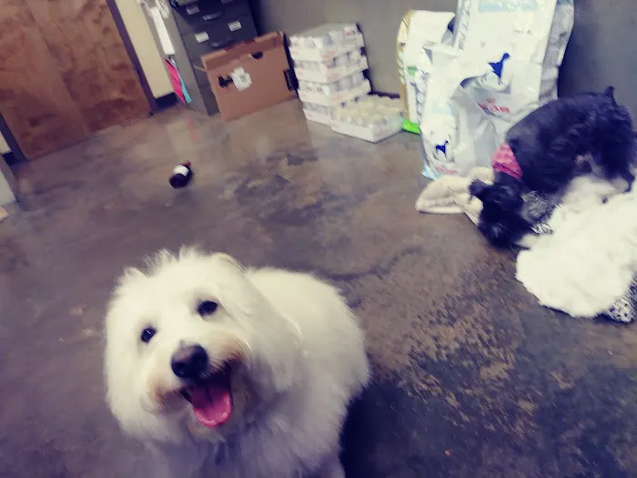 Vulcan Park Animal Care 12