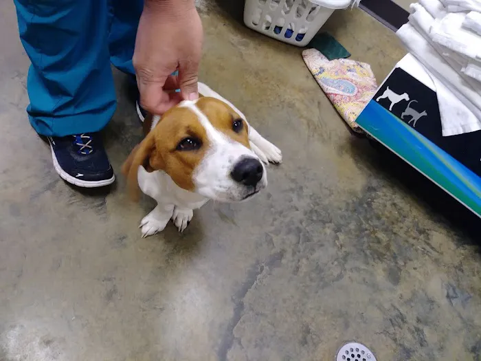 Vulcan Park Animal Care 12