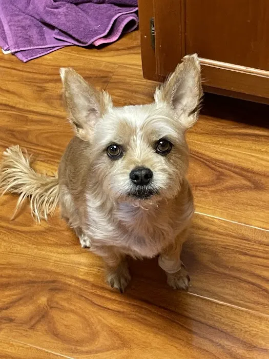Red Mountain Animal Clinic 12