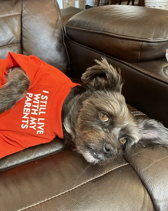 Red Mountain Animal Clinic 12