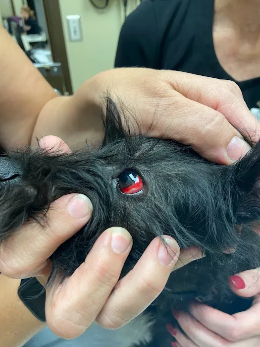 Red Mountain Animal Clinic 12